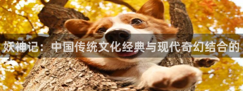 歪歪漫画入口在线看