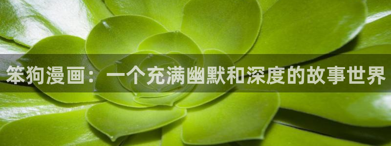 歪歪漫画入口网页