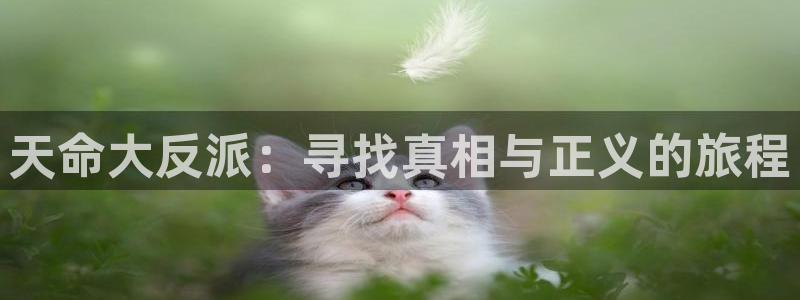 韩国歪歪漫画免费阅读