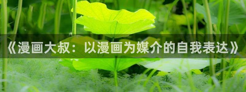 歪歪漫画官网平台