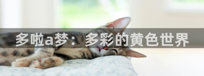 歪歪漫画sss在线阅读免费漫画