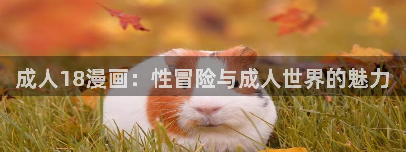歪歪漫画网页在线看