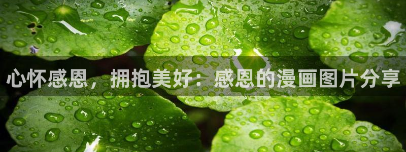 歪歪漫画在线韩