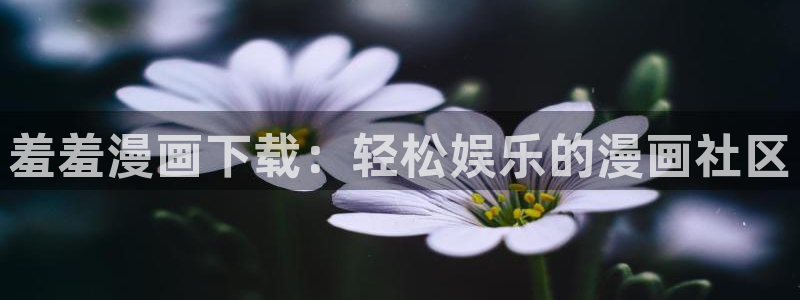 歪歪漫画在线免费版