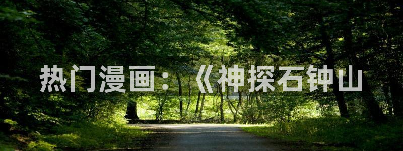 歪歪漫画网s：热门漫画：《神探石钟山