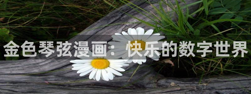 歪歪漫画sss在线阅读