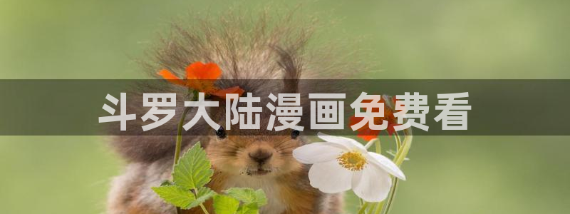 歪歪漫画全